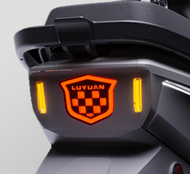 Smart LED Taillight
